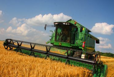 Львівська область лідирує за врожайністю зерна в Україні